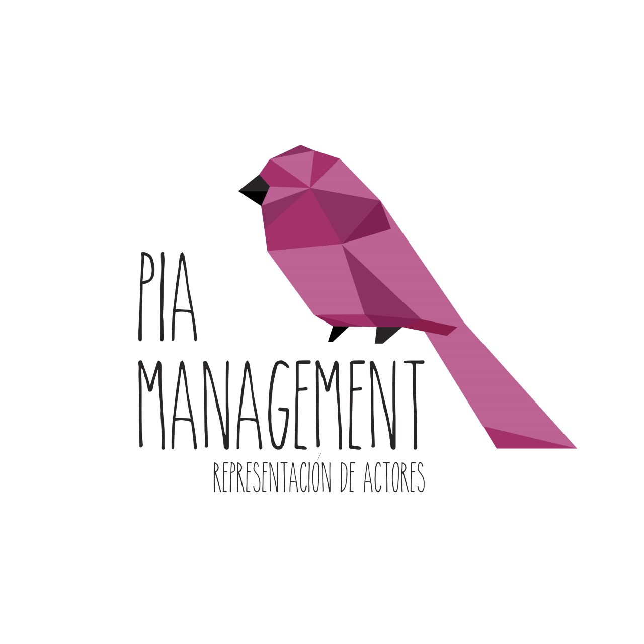 Logo PIAMANAGEMENT